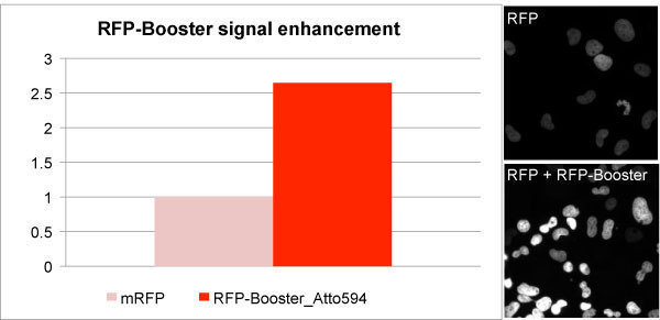 RFP-Booster